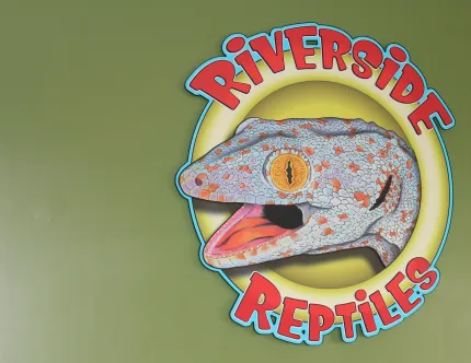 Picture of Riverside Reptiles located in Enfield, CT.
